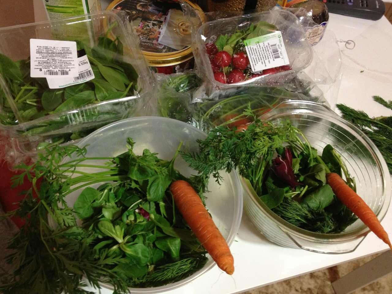 Разрешенные овощи и фрукты для кролика