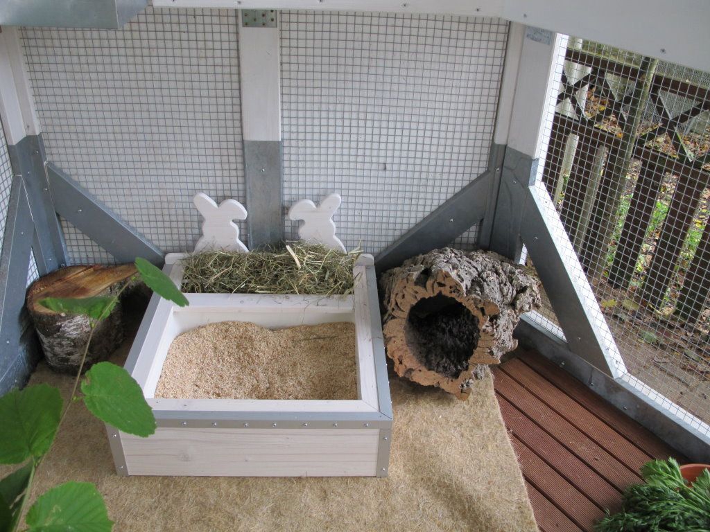 туалет для кролика