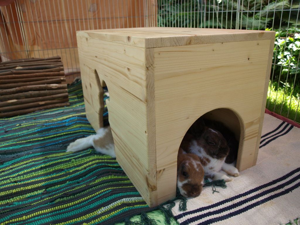 отличный дом для кролика из дерева