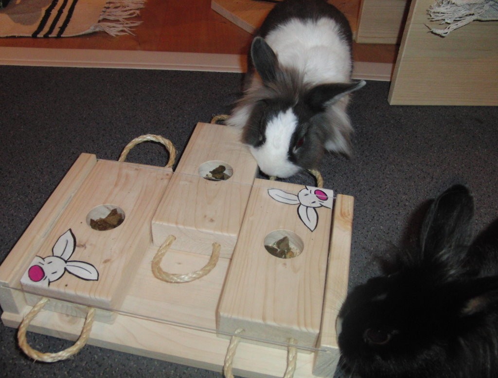 деревянные игрушки для кролика