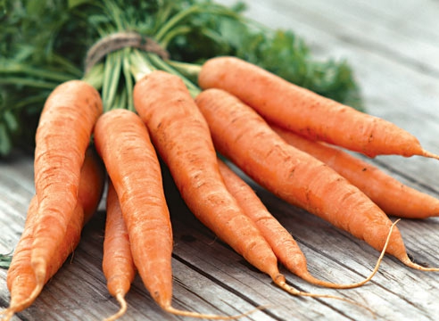 морковь в качестве питания кроликам